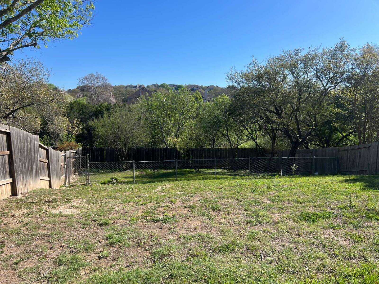 Charming 3-Bed /2 -Bath Sanctuary with Fireplace & Hardwood Floors, Between Evans and Bulverde at 281 North property image