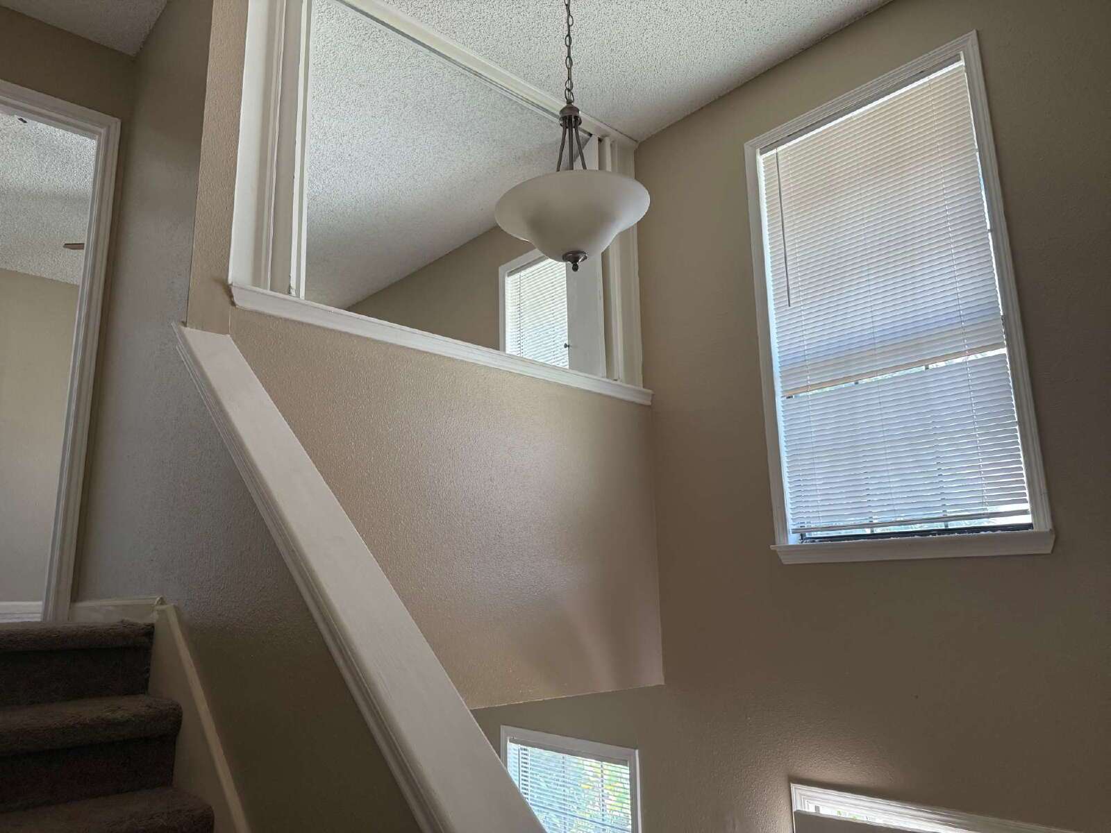 Beautiful two bed/1.5 bath in the heart of Alamo Heights property image