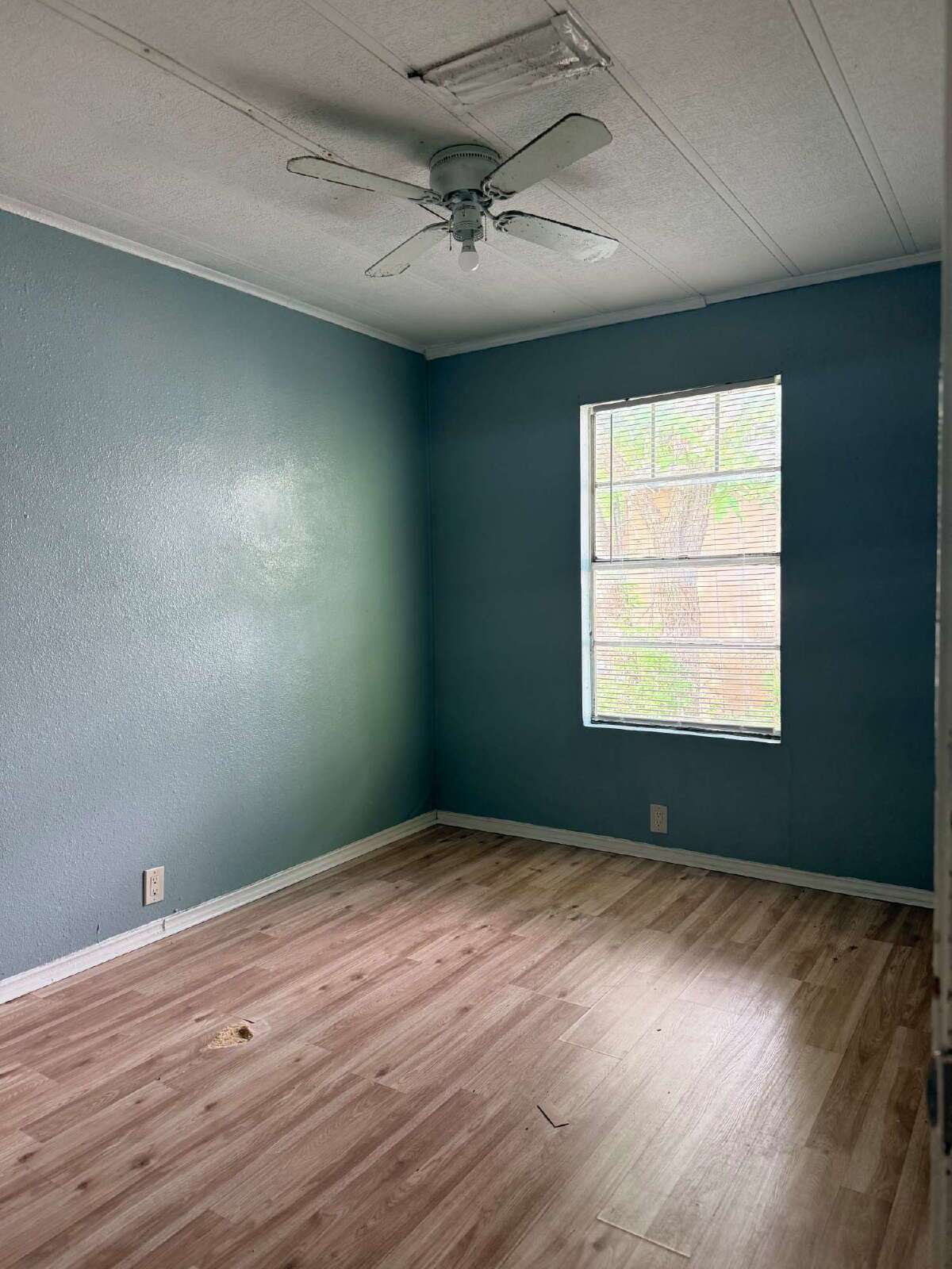 Newly Renovated 2 bed/1 bath property image